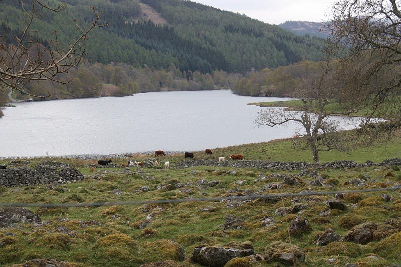 Perth-Aviemore, overzicht dag3, (76).JPG